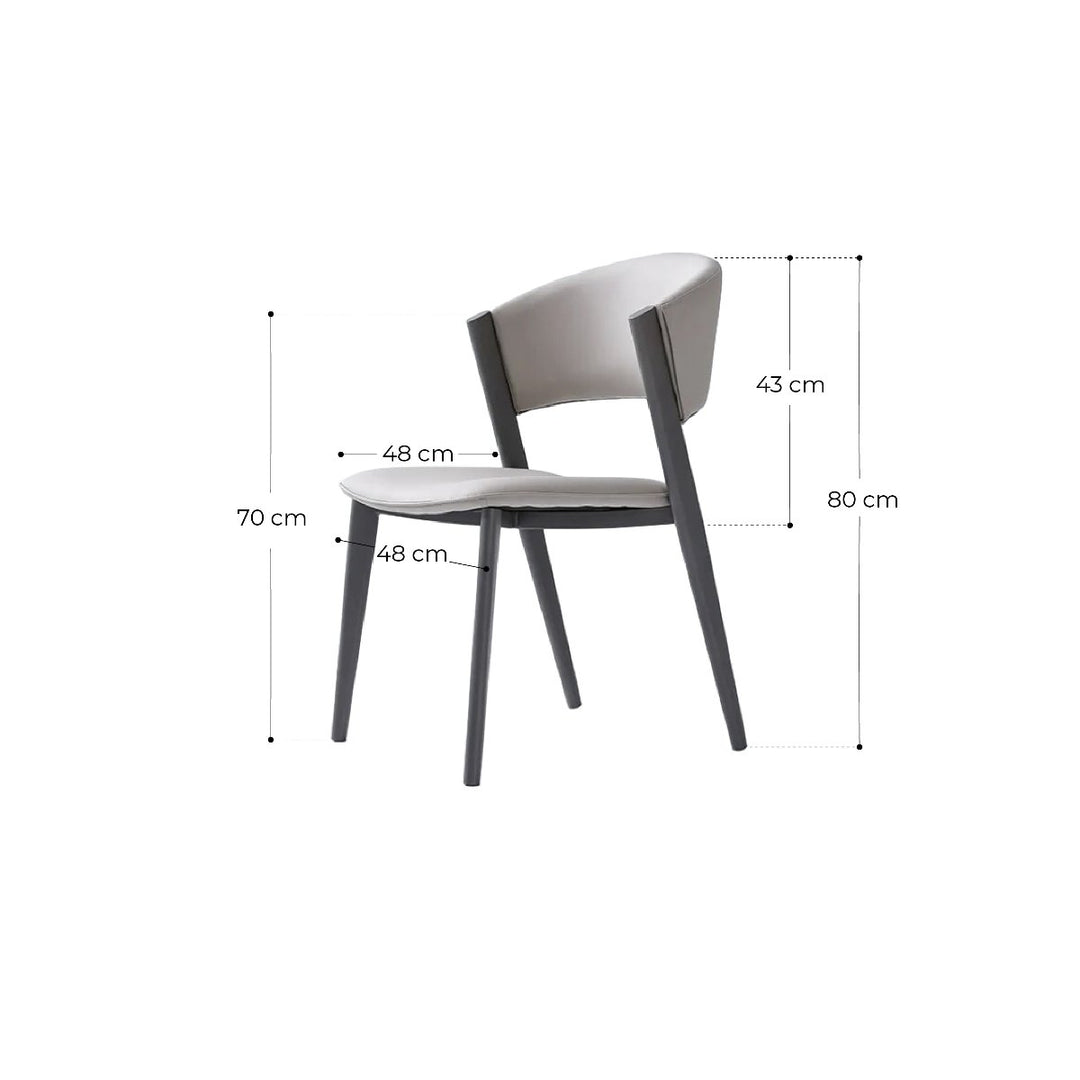 Dior Dining Chair with Carbon Steel Legs in Grey