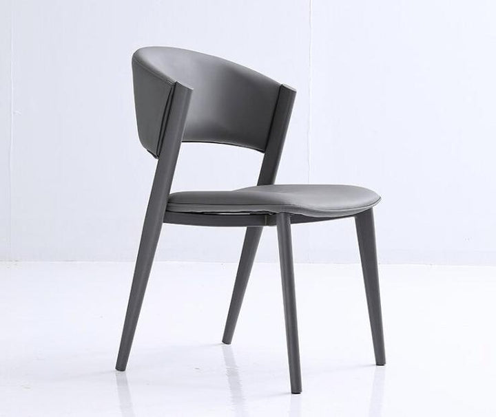 Dior Dining Chair with Carbon Steel Legs in Grey