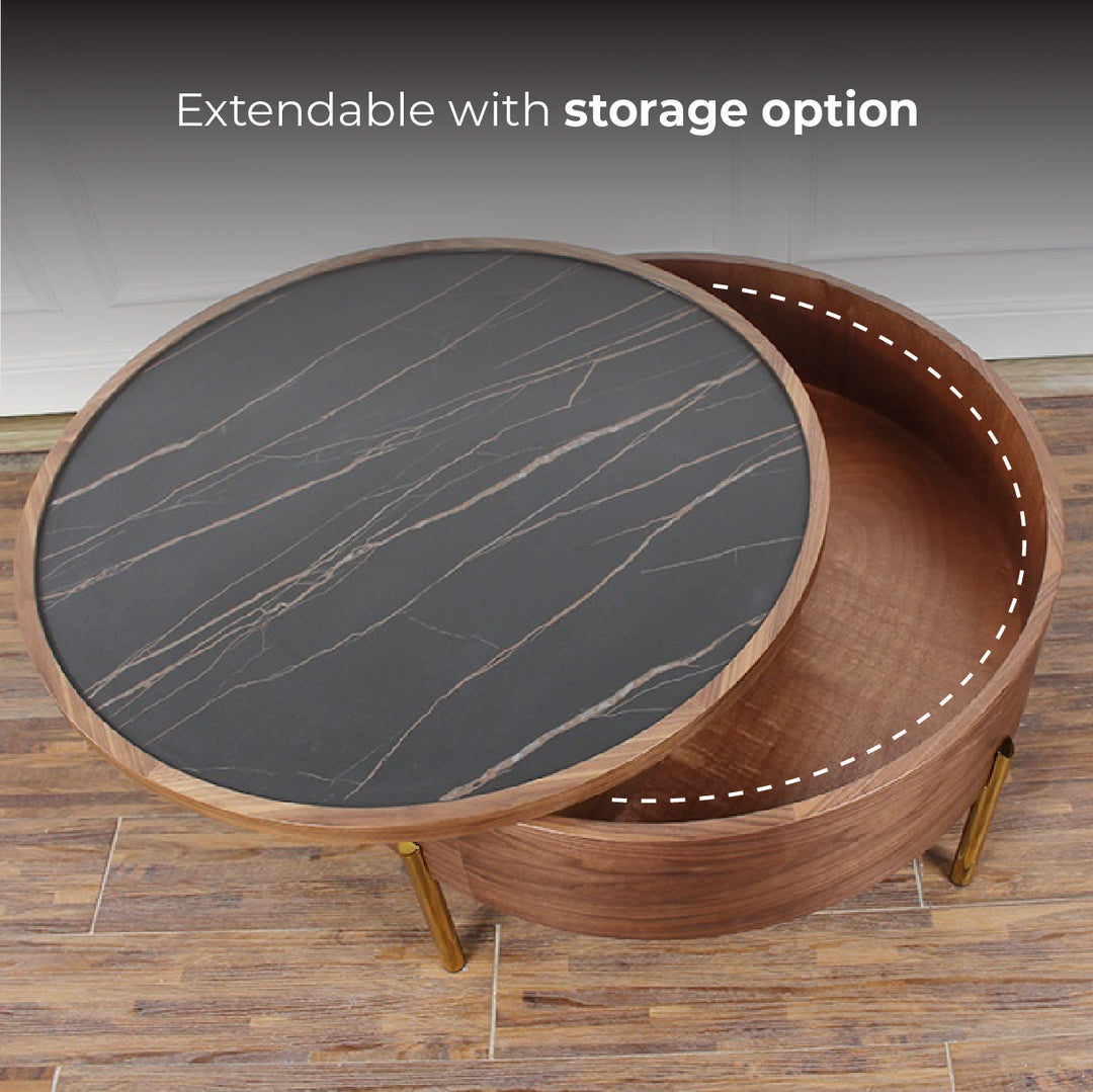 Moon Extendable Ceramic Coffee Table in Black with Storage Option